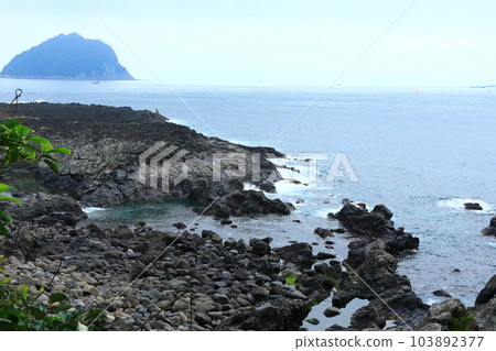 This is the beautiful coastal scenery of Seogwipo, Jeju Island. 103892377