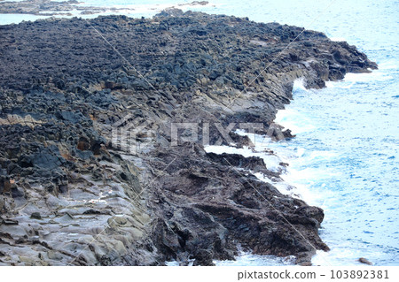 This is the beautiful coastal scenery of Seogwipo, Jeju Island. 103892381