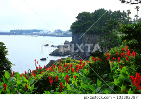 This is the beautiful coastal scenery of Seogwipo, Jeju Island. 103892387