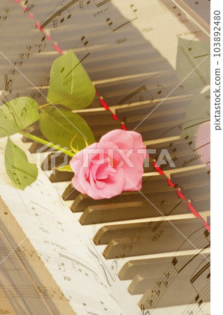鍵盤上的玫瑰樂譜 103892480