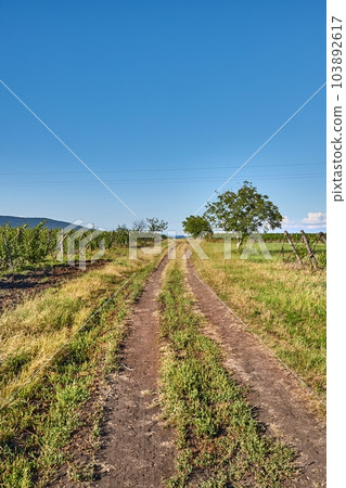 Country dirt road through farmlands 103892617