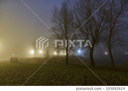 Foggy mysterious night in the park Foggy mysterious night in the park 103892624