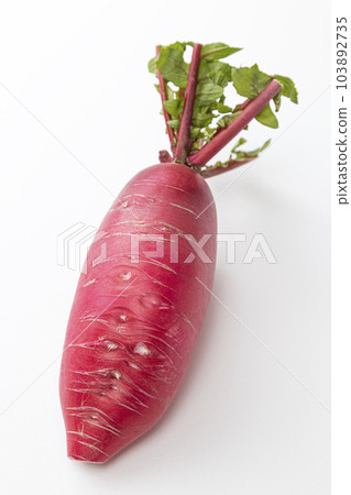 Red radish white background 103892735