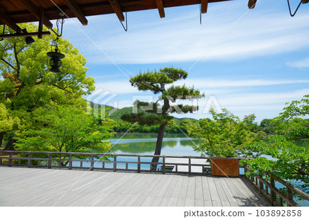 Ikebutai, Osawa Pond, young leaves and fresh greenery, green maple leaves, Daikakuji Temple Ikebutai, Osawa Pond, young leaves and fresh greenery, green maple leaves, Daikakuji Temple 103892858