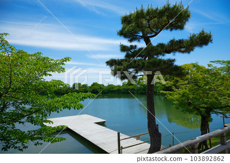 池舞台、大澤池、嫩葉和新綠、綠楓葉、大覺寺 池舞台、大澤池、嫩葉和新綠、綠楓葉、大覺寺 103892862