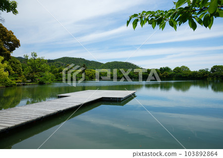 Ikebutai, Osawa Pond, young leaves and fresh greenery, green maple leaves, Daikakuji Temple Ikebutai, Osawa Pond, young leaves and fresh greenery, green maple leaves, Daikakuji Temple 103892864