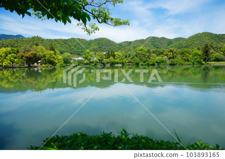 Daikaku-ji Temple, Osawa Pond, fresh green leaves and green maple leaves Daikaku-ji Temple, Osawa Pond, fresh green leaves and green maple leaves 103893165