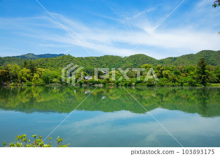 Daikaku-ji Temple, Osawa Pond, fresh green leaves and green maple leaves 103893175