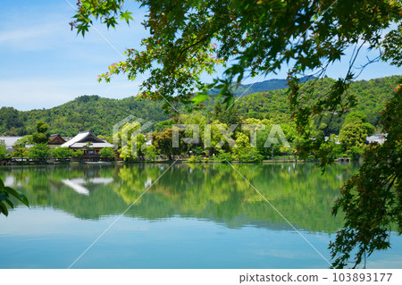 Daikaku-ji Temple, Osawa Pond, fresh green leaves and green maple leaves 103893177