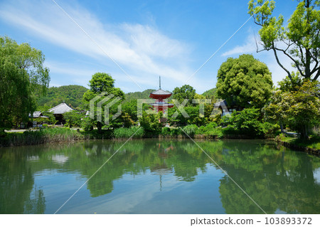 Shinkyohoto Pagoda Osawa Pond Fresh green green maple leaves Daikakuji Temple Shinkyohoto Pagoda Osawa Pond Fresh green green maple leaves Daikakuji Temple 103893372