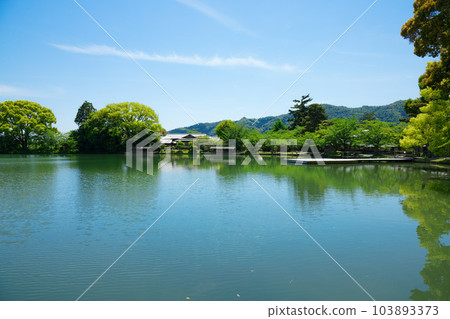 池舞台、大澤池、嫩葉和新綠、綠楓葉、大覺寺 池舞台、大澤池、嫩葉和新綠、綠楓葉、大覺寺 103893373