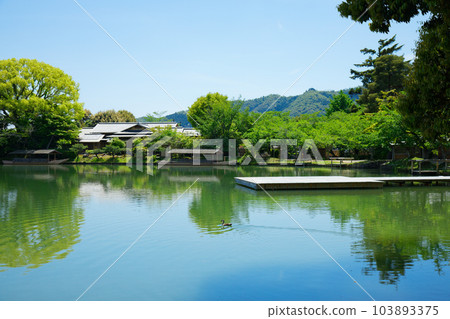 池舞台、大澤池、嫩葉和新綠、綠楓葉、大覺寺 池舞台、大澤池、嫩葉和新綠、綠楓葉、大覺寺 103893375