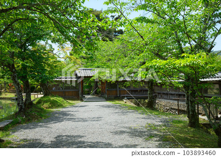 大澤門、大澤池、新綠葉、綠楓葉、大覺寺 大澤門、大澤池、新綠葉、綠楓葉、大覺寺 103893460