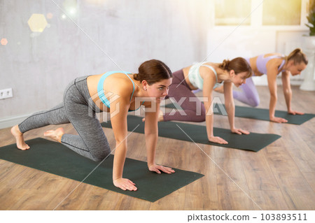Group of active women practice various yoga poses 103893511
