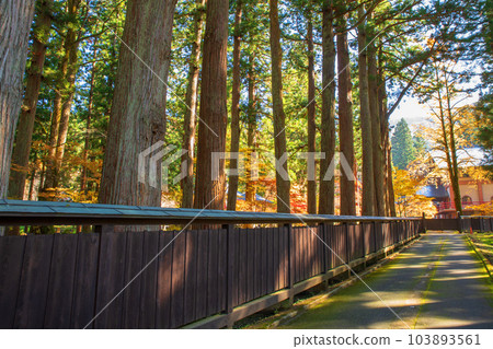 Untoan near the entrance, autumn leaves, Minamiuonuma City, Niigata Prefecture Untoan near the entrance, autumn leaves, Minamiuonuma City, Niigata Prefecture 103893561