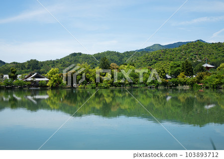 大覺寺、大澤池、新綠葉和綠楓葉 大覺寺、大澤池、新綠葉和綠楓葉 103893712