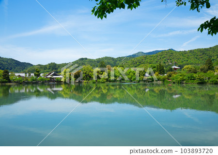 Daikaku-ji Temple, Osawa Pond, fresh green leaves and green maple leaves Daikaku-ji Temple, Osawa Pond, fresh green leaves and green maple leaves 103893720