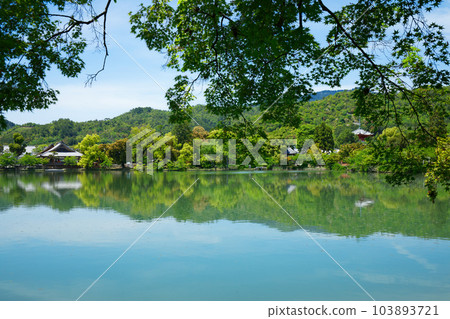 大覺寺、大澤池、新綠葉和綠楓葉 大覺寺、大澤池、新綠葉和綠楓葉 103893721