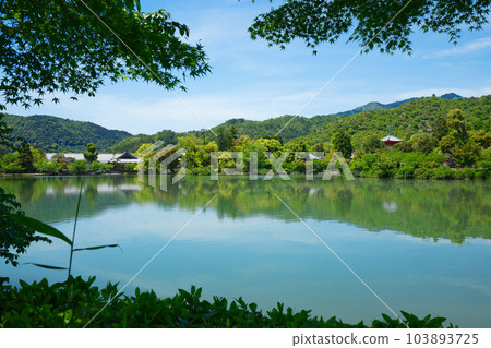 大覺寺、大澤池、新綠葉和綠楓葉 大覺寺、大澤池、新綠葉和綠楓葉 103893725