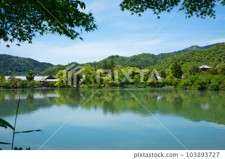 大覺寺、大澤池、新綠葉和綠楓葉 大覺寺、大澤池、新綠葉和綠楓葉 103893727