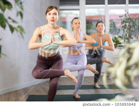 Concentrated sportive women performing one-legged standing balance Vrkshasana or Tree position exercise on mats in fitness center Concentrated sportive women performing one-legged standing balance Vrkshasana or Tree position exercise on mats in fitness center 103893848