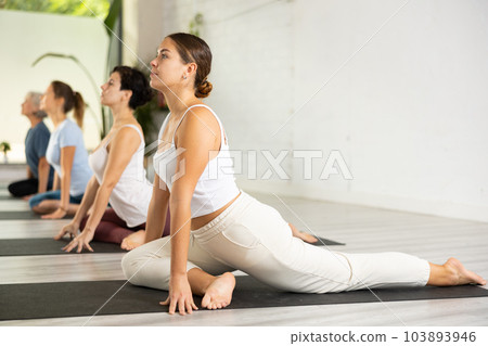 Group of sporty women practicing various yoga positions during training indoors. Focus on young calm female Group of sporty women practicing various yoga positions during training indoors. Focus on young calm female 103893946