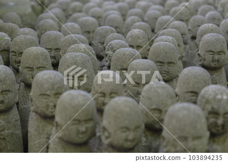 Hasedera Temple Mizuko Jizo Lined Up Hasedera Temple Mizuko Jizo Lined Up 103894235