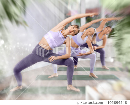 Three women doing fitness in fitness studio Three women doing fitness in fitness studio 103894248