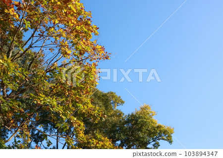 Fine weather in autumn Fine weather in autumn 103894347