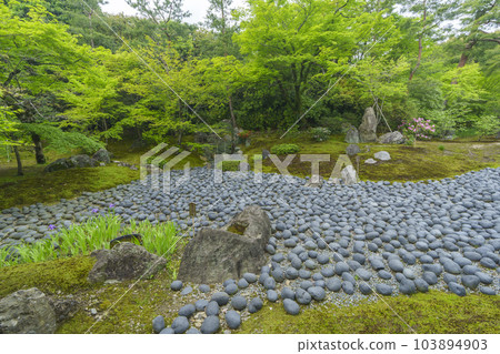 京都嵐山 寶嚴院紫石庭，新綠的季節 103894903