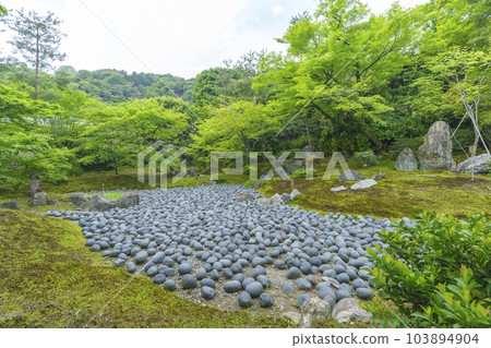 京都嵐山 寶嚴院紫石庭，新綠的季節 103894904