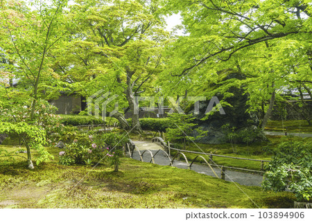 京都嵐山 寶嚴院紫石庭，新綠的季節 103894906