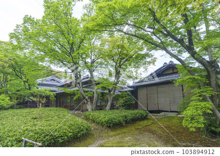Arashiyama, Kyoto Hogon-in Shishiku-no-niwa, the season of fresh greenery 103894912