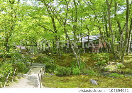 Arashiyama, Kyoto Hogon-in Shishiku-no-niwa, the season of fresh greenery Arashiyama, Kyoto Hogon-in Shishiku-no-niwa, the season of fresh greenery 103894921