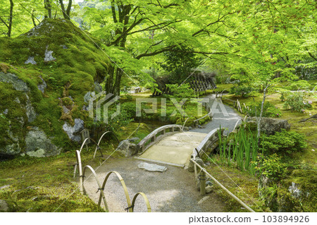 Arashiyama, Kyoto Hogon-in Shishiku-no-niwa, the season of fresh greenery 103894926