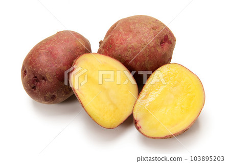 Potato native to South America, Andean red Potato native to South America, Andean red 103895203