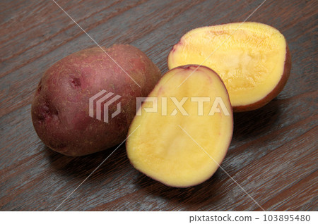 Potato native to South America, Andean red Potato native to South America, Andean red 103895480