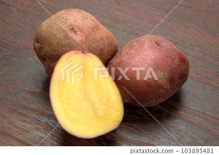 Potato native to South America, Andean red Potato native to South America, Andean red 103895481