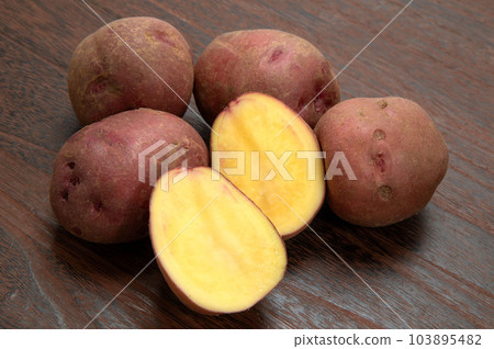 Potato native to South America, Andean red Potato native to South America, Andean red 103895482