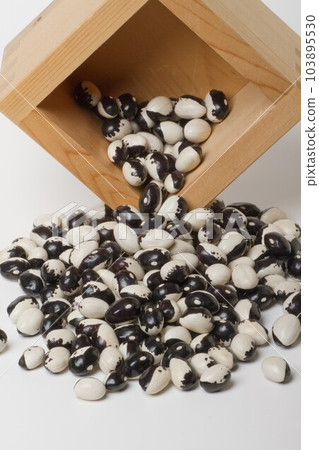Kidney Bean 103895530