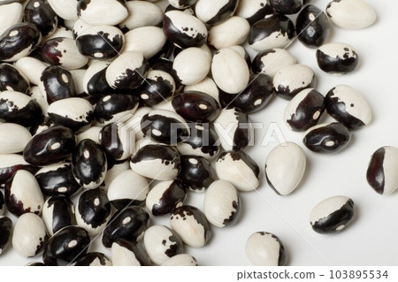 Kidney Bean Kidney Bean 103895534