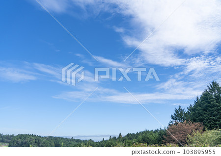 秋天的白雲和藍天 103895955