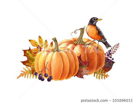 Autumn rustic decor with pumpkins and american robin bird. Watercolor illustration. Hand drawn cozy autumn vintage style decor with robin bird. Pumpkins, fern, berries, leaves floral decoration 103896031