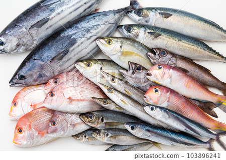 魚集 魚集 103896241