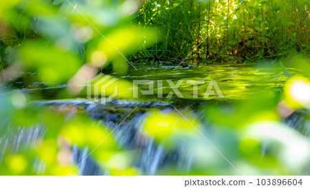 奧大山生態形象（小山木谷澤溪流） 103896604