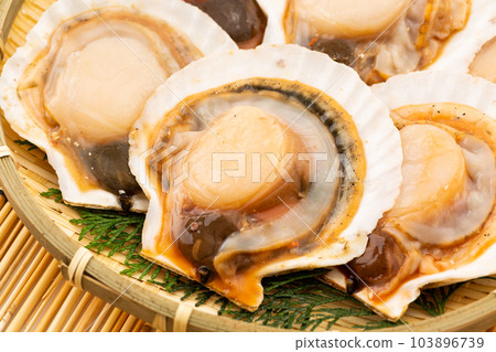 Scallops in shell (flavored) Scallops in shell (flavored) 103896739