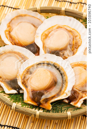 Scallops in shell (flavored) 103896740