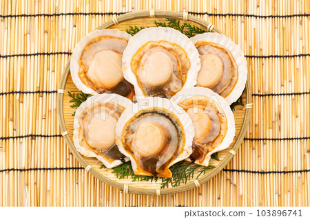 帶殼扇貝（調味） 103896741