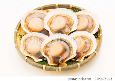 帶殼扇貝(調味) 帶殼扇貝(調味) 103896993