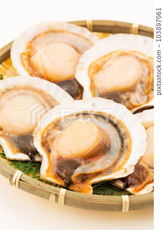 帶殼扇貝(調味) 帶殼扇貝(調味) 103897061